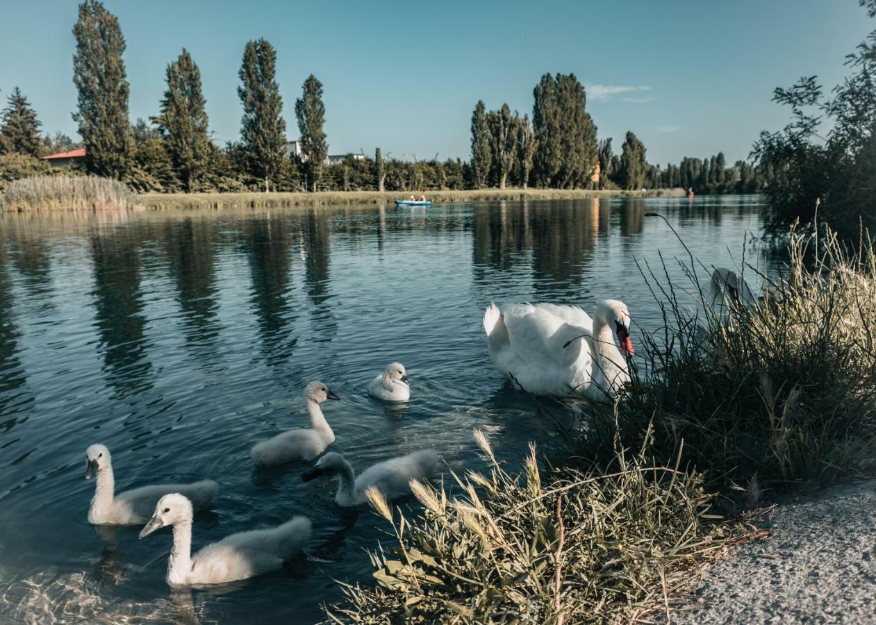 La Forgia Apartment Peschiera del Garda Exteriör bild